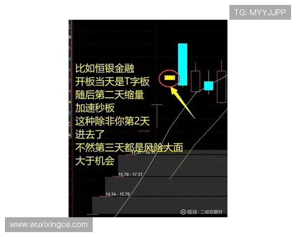 滑板战术解析：武汉滑板队如何构建高效转换体系与战术协同